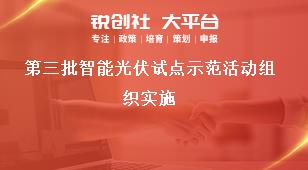 第三批智能光伏试点示范活动组织实施奖补政策