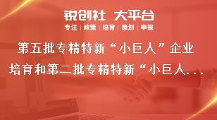 第五批专精特新“小巨人”企业培育和第二批专精特新“小巨人”企业复核工作程序奖补政策