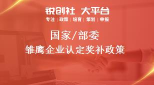 国家/部委雏鹰企业认定奖补政策