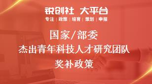 国家/部委杰出青年科技人才研究团队奖补政策
