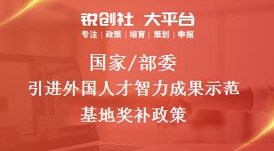 国家/部委引进外国人才智力成果示范基地奖补政策