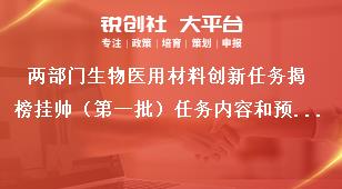 两部门生物医用材料创新任务揭榜挂帅（第一批）任务内容和预期目标奖补政策