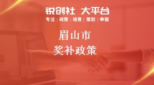 眉山市奖补政策