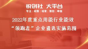 2022年度重点用能行业能效“领跑者”企业遴选实施范围奖补政策