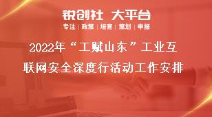 2022年“工赋山东”工业互联网安全深度行活动工作安排奖补政策
