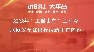 2022年“工赋山东”工业互联网安全深度行活动工作内容奖补政策