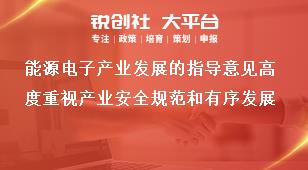 能源电子产业发展的指导意见高度重视产业安全规范和有序发展奖补政策