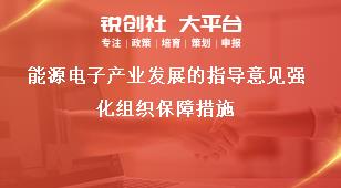 能源电子产业发展的指导意见强化组织保障措施奖补政策