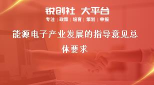 能源电子产业发展的指导意见总体要求奖补政策
