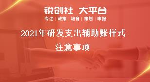 2021年研发支出辅助账样式注意事项奖补政策