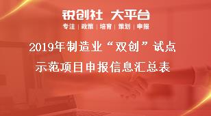 2019年制造业“双创”试点示范项目申报信息汇总表奖补政策