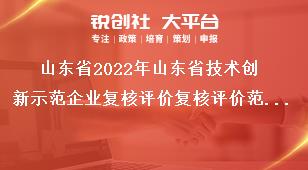 山东省2022年山东省技术创新示范企业复核评价复核评价范围奖补政策