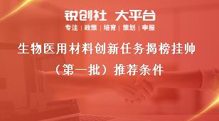 生物医用材料创新任务揭榜挂帅（第一批）推荐条件奖补政策