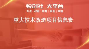 重大技术改造项目信息表奖补政策