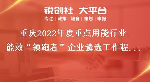 重庆2022年度重点用能行业能效“领跑者”企业遴选工作程序奖补政策