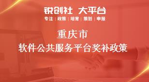 重庆市软件公共服务平台相关配套奖补政策