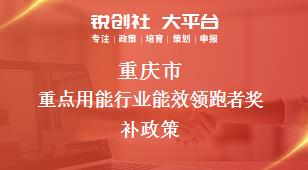 重庆市重点用能行业能效领跑者相关配套奖补政策